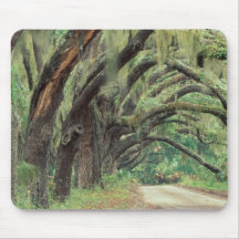 North America, USA, Georgia, Cumberland 2 Mouse Pads