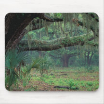 North America, USA, Georgia, Cumberland Mousepads