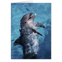 North America, USA, Hawaii. Dolphin 2 Greeting Card