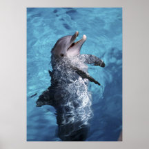 North America, USA, Hawaii. Dolphin 2 Poster