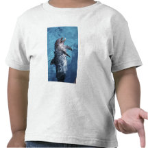 North America, USA, Hawaii. Dolphin 2 T Shirts