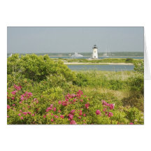North America, USA, Massachusetts, Martha's Greeting Cards