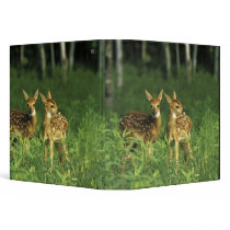 North America, USA, Minnesota. White-tailed 2 3 Ring Binders