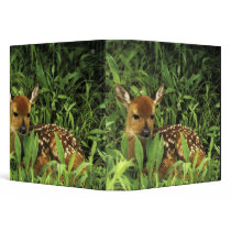 North America, USA, Minnesota. White-tailed Vinyl Binders