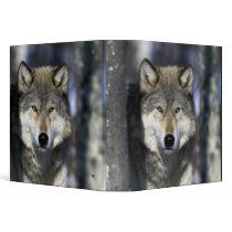 North America, USA, Minnesota. Wolf Canis Vinyl Binders