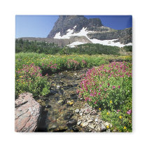 North America, USA, Montana, Glacier National 3