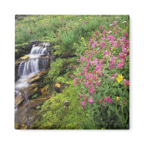 North America, USA, Montana, Glacier National 4 Fridge Magnet