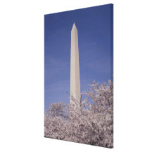 North America, USA, Washington D.C.. Washington Canvas Print