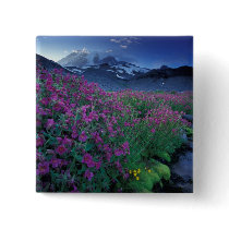 North America, USA, Washington, Mt. Rainier 6 Pins