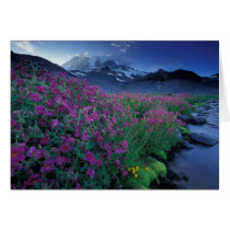 North America, USA, Washington, Mt. Rainier 6 Card
