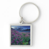 North America, USA, Washington, Mt. Rainier 6 Keychains