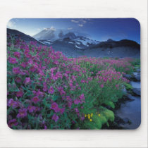 North America, USA, Washington, Mt. Rainier 6 Mouse Pads