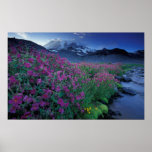 North America, USA, Washington, Mt. Rainier 6 Posters