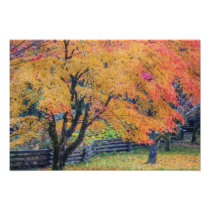 North America, USA, Washington, Newhalem,