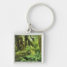 North America, USA, Washington, Olympic 3 Key Chain