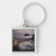 North America, USA, Washington, Olympic NP, Key Chain