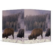 North America, USA, Wyoming, Yellowstone NP, Vinyl Binders