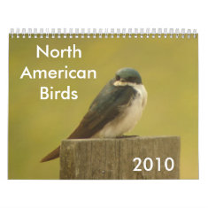 North American Birds 2010 calendar