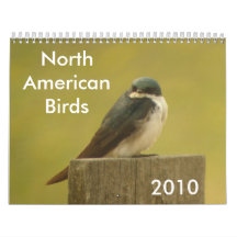 North American Birds 2010 Wall Calendars