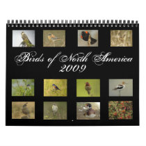 North American Birds Calendar