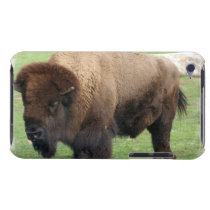 North American Bison iTouch Case Ipod Case-mate Case