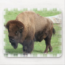 North American Bison Mouse Pad