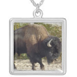 North American Bison Necklace