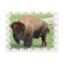 North American Bison Postcard