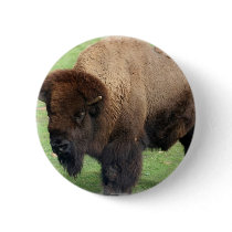 North American Bison Round Button