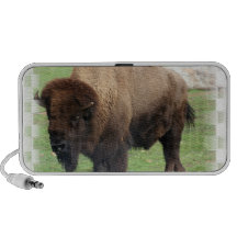 North American Bison Speakers