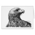 North American Eagle Pen and Ink cards by dragling North American Eagle Pen and Ink cards