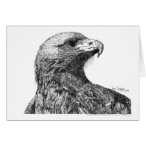 North American Eagle Pen and Ink cards