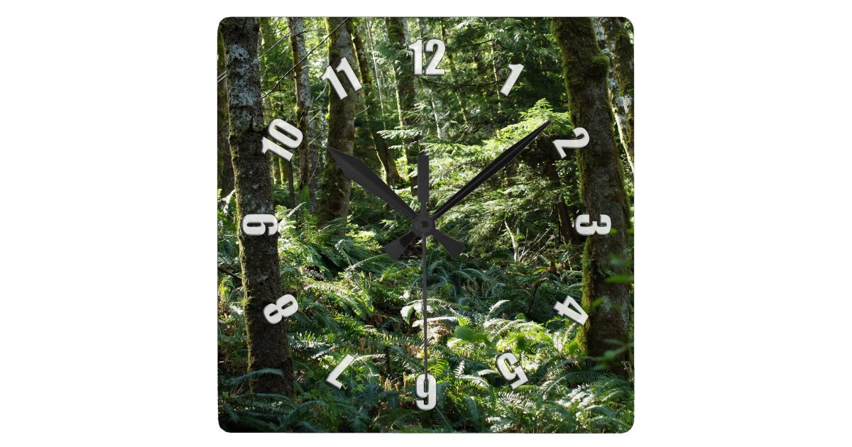 Where Can I Sell My Nature Canvas Prints Where Can I Sell My Nature Canvas Prints