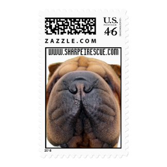 North American Shar-pei Rescue stamp