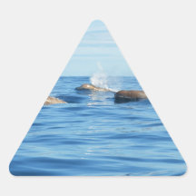 North Atlantic Bottlenose Whales Sticker