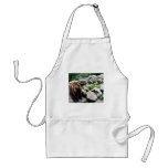 North Carolina Bears Apron