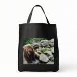 North Carolina Bears Canvas Bags