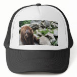 North Carolina Bears Mesh Hat