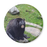 North Carolina Bears Magnet
