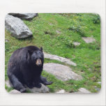 North Carolina Bears Mousepad