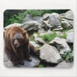 North Carolina Bears Mouse Pads