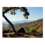North Carolina Mountains Post Card