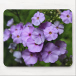 North Carolina Phlox Flowers mousepads