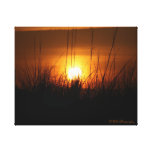 North Carolina Sunset
