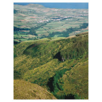 North coast Sao Miguel Custom Flyer