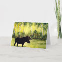 North Country Moose Blank Greeting Card card