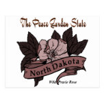 North Dakota Peace Garden State Prarie Rose Post Card