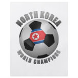 NORTH KOREA SOCCER CHAMPIONS flyers