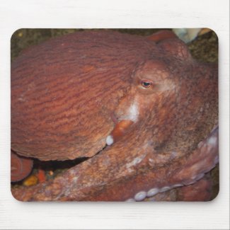 North Pacific Giant Octopus mousepad