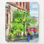 North Pearl Street, Albany, NY Mouse Pad